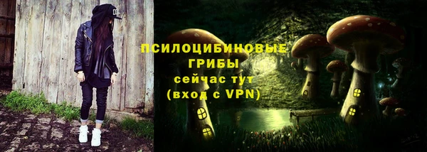 МДПВ Сосновоборск