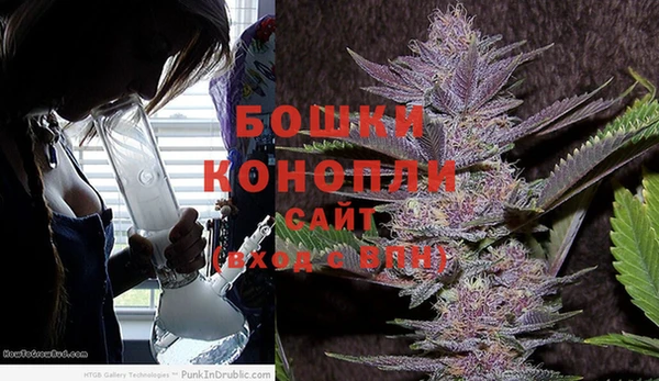 МДПВ Сосновоборск