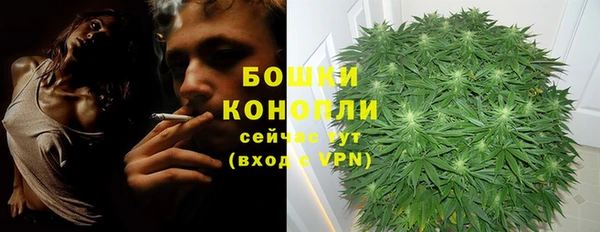 тгк Сосновый Бор
