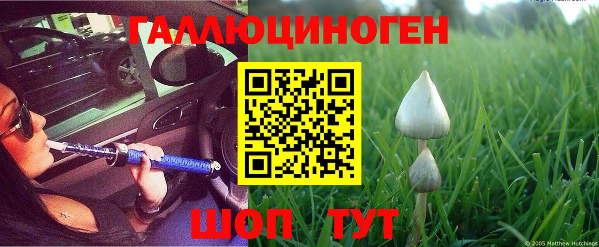 Волгоград  МДМА  Круглые  Гашик  МЕФ  КОКАИН  МАРИХУАНА  Вход с VPN  APVP 