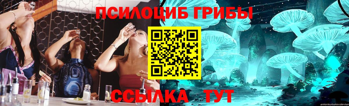 Галлюциногенные грибы мицелий  Вход с VPN  Волгоград 